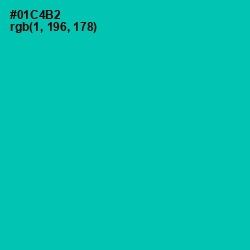 #01C4B2 - Caribbean Green Color Image