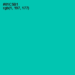 #01C5B1 - Caribbean Green Color Image