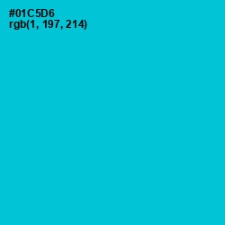 #01C5D6 - Robin's Egg Blue Color Image