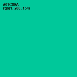 #01C89A - Caribbean Green Color Image