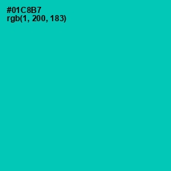 #01C8B7 - Caribbean Green Color Image