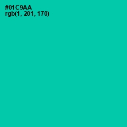 #01C9AA - Caribbean Green Color Image