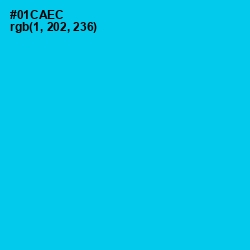 #01CAEC - Robin's Egg Blue Color Image