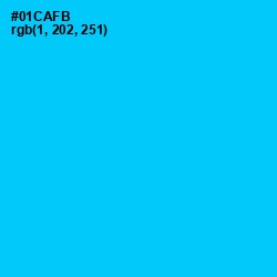 #01CAFB - Bright Turquoise Color Image