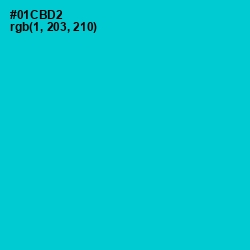 #01CBD2 - Robin's Egg Blue Color Image