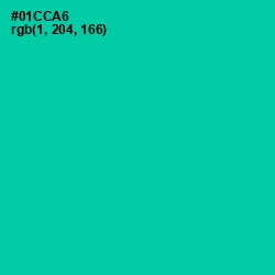 #01CCA6 - Caribbean Green Color Image