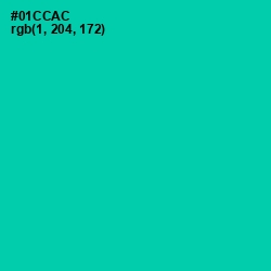 #01CCAC - Caribbean Green Color Image