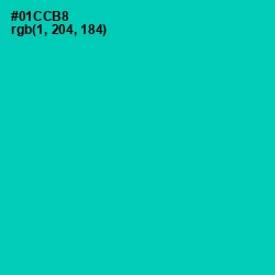 #01CCB8 - Caribbean Green Color Image