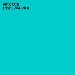 #01CCCB - Robin's Egg Blue Color Image