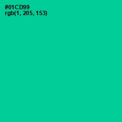 #01CD99 - Caribbean Green Color Image