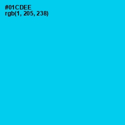 #01CDEE - Bright Turquoise Color Image