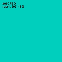 #01CFBD - Caribbean Green Color Image