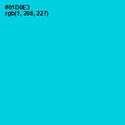 #01D0E3 - Robin's Egg Blue Color Image