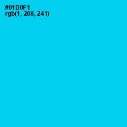 #01D0F1 - Bright Turquoise Color Image