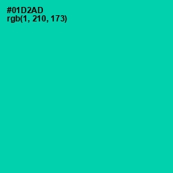 #01D2AD - Caribbean Green Color Image