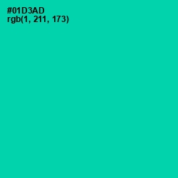 #01D3AD - Caribbean Green Color Image