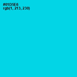 #01D5E6 - Bright Turquoise Color Image