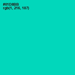 #01D8BB - Caribbean Green Color Image