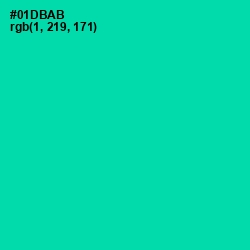 #01DBAB - Caribbean Green Color Image