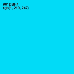 #01DBF7 - Bright Turquoise Color Image