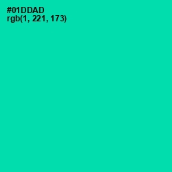 #01DDAD - Caribbean Green Color Image