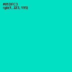 #01DFC3 - Robin's Egg Blue Color Image