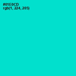 #01E0CD - Bright Turquoise Color Image