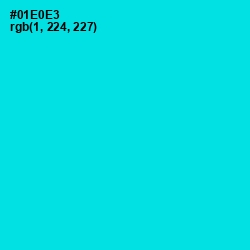 #01E0E3 - Cyan / Aqua Color Image