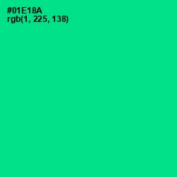 #01E18A - Caribbean Green Color Image