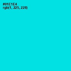 #01E1E4 - Cyan / Aqua Color Image