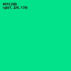 #01E28B - Caribbean Green Color Image