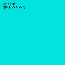 #01E3DF - Bright Turquoise Color Image