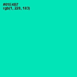 #01E4B7 - Caribbean Green Color Image