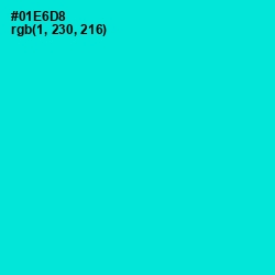 #01E6D8 - Bright Turquoise Color Image