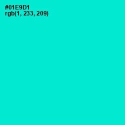 #01E9D1 - Bright Turquoise Color Image