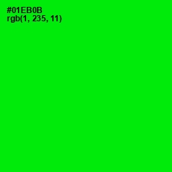 #01EB0B - Green Color Image