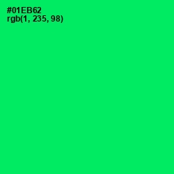 #01EB62 - Spring Green Color Image