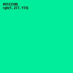 #01ED9B - Caribbean Green Color Image