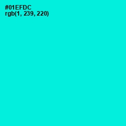 #01EFDC - Bright Turquoise Color Image