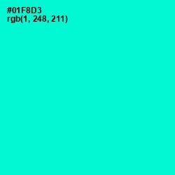#01F8D3 - Bright Turquoise Color Image