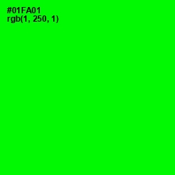 #01FA01 - Green Color Image