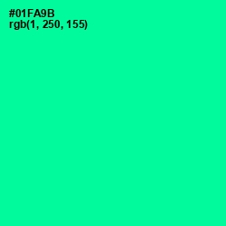 #01FA9B - Caribbean Green Color Image