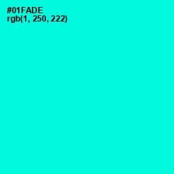 #01FADE - Bright Turquoise Color Image