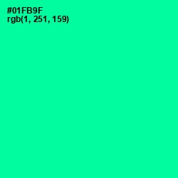 #01FB9F - Caribbean Green Color Image