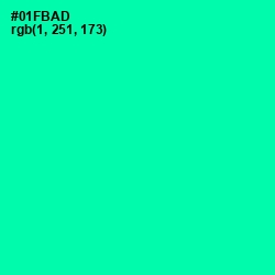 #01FBAD - Caribbean Green Color Image