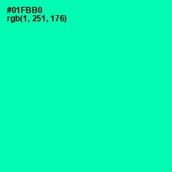 #01FBB0 - Caribbean Green Color Image