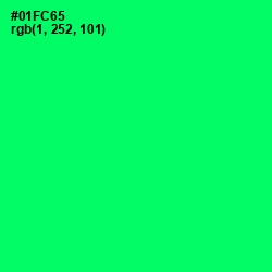 #01FC65 - Spring Green Color Image