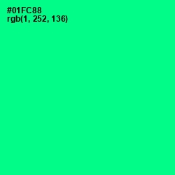 #01FC88 - Caribbean Green Color Image