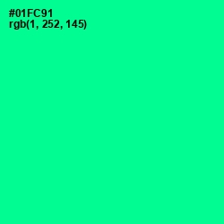 #01FC91 - Caribbean Green Color Image