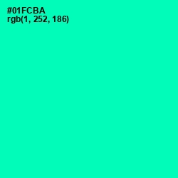 #01FCBA - Caribbean Green Color Image